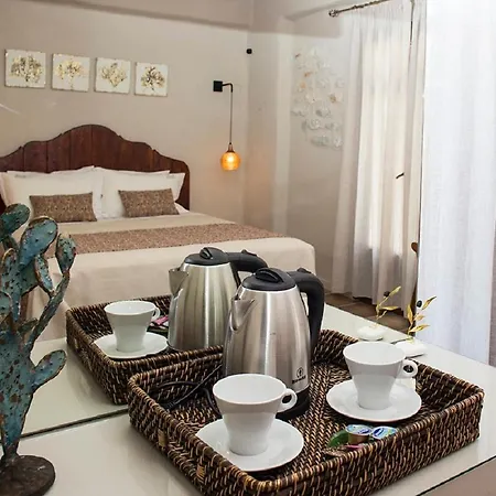 Boutique Adults Only 12plus