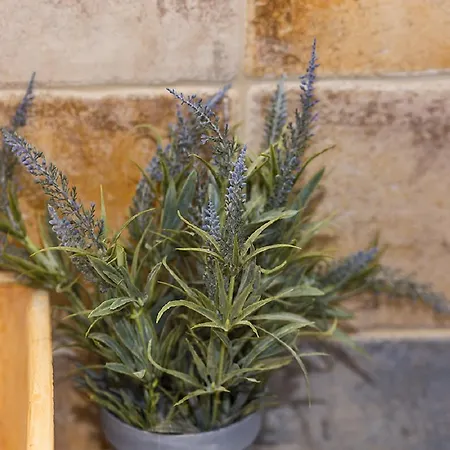 Boutique Adults Only 12plus * Liménion