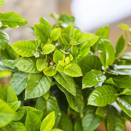 Boutique Adults Only 12plus Hotel