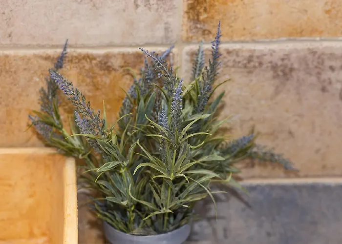 Boutique Adults Only 12plus * Liménion