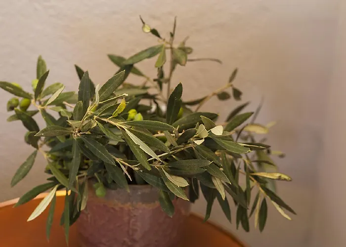 Szálloda Boutique Adults Only 12plus Liménion